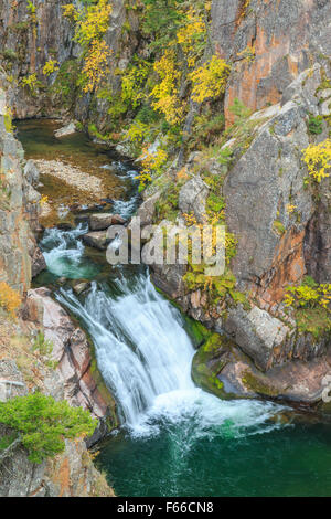 La cascata e i colori dell'autunno lungo tenderfoot creek nel piccolo belt le montagne vicino al bianco delle molle di zolfo, montana Foto Stock