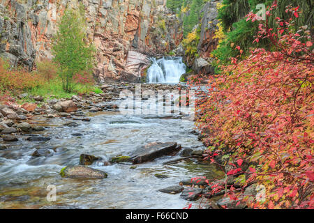 La cascata e i colori dell'autunno lungo tenderfoot creek nel piccolo belt le montagne vicino al bianco delle molle di zolfo, montana Foto Stock