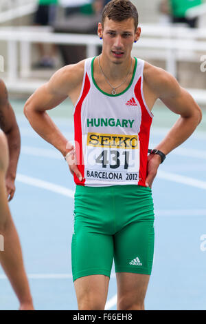 Szücs Valdó,Ungheria, 110m ostacoli,IAAF,XX World Junior di atletica, 2012 a Barcellona, Spagna Foto Stock