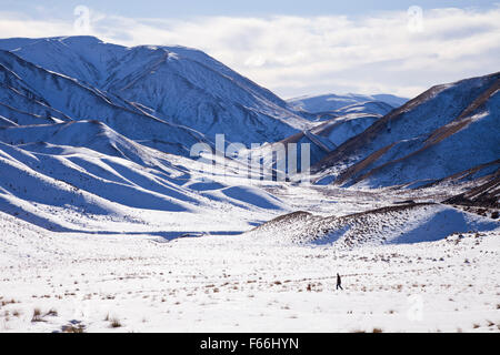 Uomo che cammina il suo cane tra le coperte di neve a sud dell'isola paesaggio, Canterbury, Nuova Zelanda Foto Stock