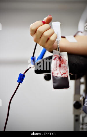 Dettaglio con la mano di un donatore di sangue e una plastica sacca di sangue in un ospedale Foto Stock