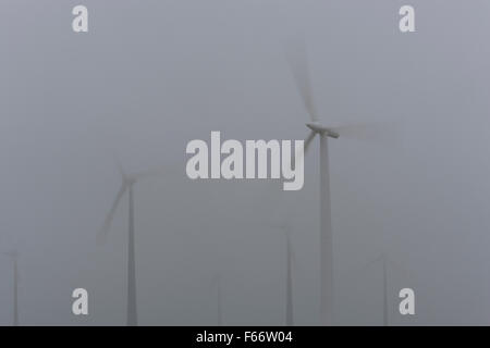 Le turbine eoliche a nebbia, Meclemburgo-Pomerania occidentale, Germania Foto Stock