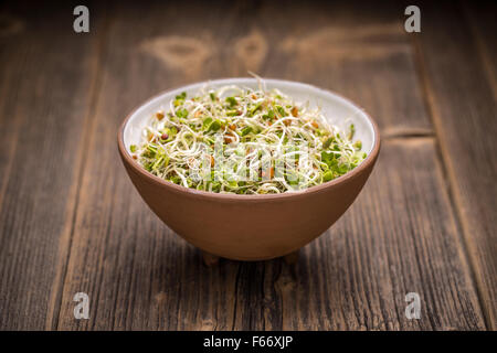 Mix di semi germinati in un recipiente su un sfondo di legno Foto Stock