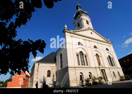 Cattedrale Basilica, Gyor, Győr, Ungheria Foto Stock