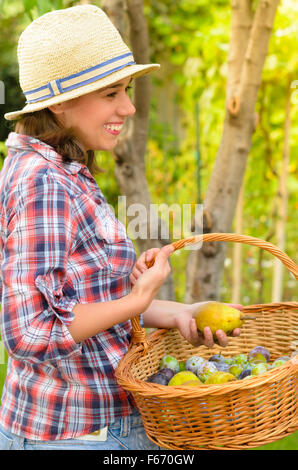 Donna felice tenendo un cesto di frutta in un frutteto Foto Stock
