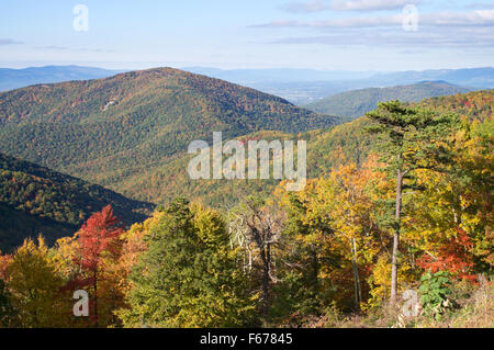 Caduta di fogliame colori Skyline Drive, Parco Nazionale di Shenandoah, Virginia, Stati Uniti d'America Foto Stock