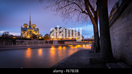 Accesa la cattedrale di Notre Dame de Paris Cathedral al crepuscolo sulla Ile de la Cite. La riflessione di luci della città sul fiume Senna, Parigi Foto Stock