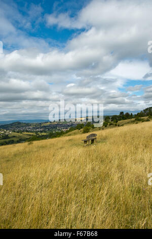 Summer View da Rodborough comune in Cotswolds, al di sopra della Severn Vale verso la Foresta di Dean al di là, Gloucestershire, Regno Unito Foto Stock