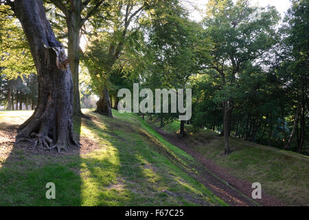 Cercando W IN V-sagomato fossa (vallum) del romano Antonine Wall e di Watling Lodge, Falkirk: un baluardo turf & pallisade rabboccato il S (L) banca. Foto Stock