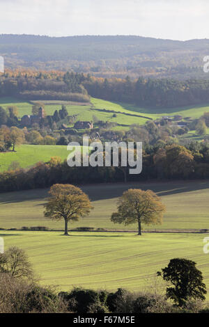 Newlands Corner, Surrey, Inghilterra, Regno Unito. Il 13 novembre 2015. La vista dal Newlands Corner verso il villaggio di Albury è una foto di bellissimi colori autunnali, su un blustery giornata di sole e di docce in Surrey Hills vicino a Dorking. Credito: Julia Gavin UK/Alamy Live News Foto Stock