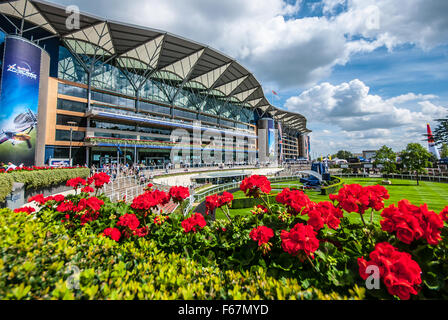 Ascot Racecourse è un ippodromo britannica, che si trova a Ascot, Royal Berkshire, Inghilterra, Regno Unito che è usato per corse di cavalli purosangue. Fiori in mostra Foto Stock