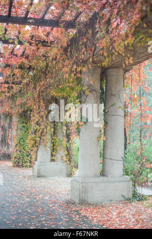 Pergola ricoperta da colori d'autunno superriduttore Wroclaw Centennial Hall Foto Stock