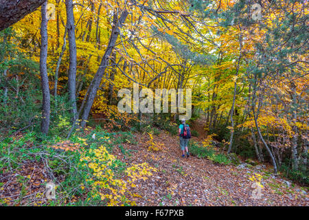 Il camminatore femmina escursionista nella soleggiata autunno autunno colori colori nei boschi, Francia Foto Stock