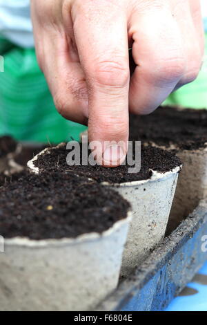 Piantare i semi in vaso biodegradabile riempito con mix di incapsulazione Foto Stock