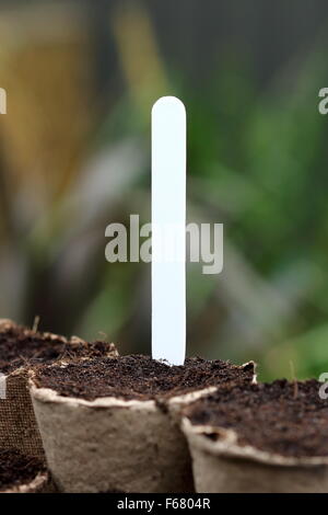 Pot biodegradabile riempito con mix di incapsulazione Foto Stock