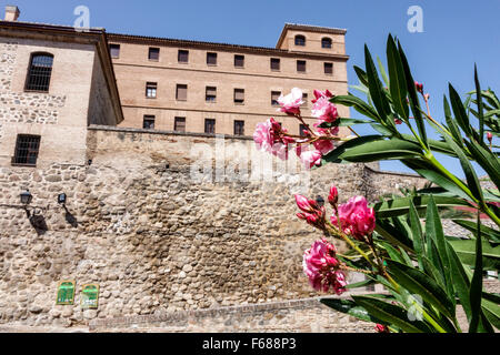 Toledo Spagna,Europa,Spagnolo,Sito Patrimonio Mondiale dell'Umanita' Ispanico,Centro storico,mura della citta',fiori,cespuglio fiorito,Calle Cristo de la Luz,Spain150703036 Foto Stock