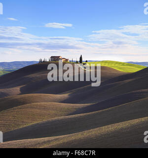 Toscana, paesaggio rurale nelle Crete Senesi a terra. Arò colline, campagna agriturismo, cipressi secolari, campo verde e blu cielo Foto Stock