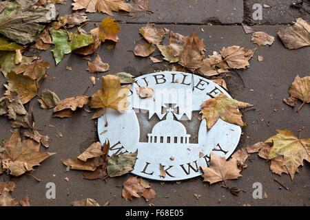 La placca nella pavimentazione di Millbank coperto con foglie di autunno, Westminster, London Foto Stock