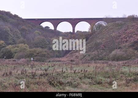 Il viadotto ferroviario a Horden, Peterlee, County Durham, Regno Unito. Foto Stock