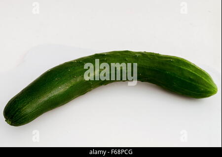 Fresche presto allentato cetriolo verde ortaggio dal gambo, Sofia, Bulgaria Foto Stock