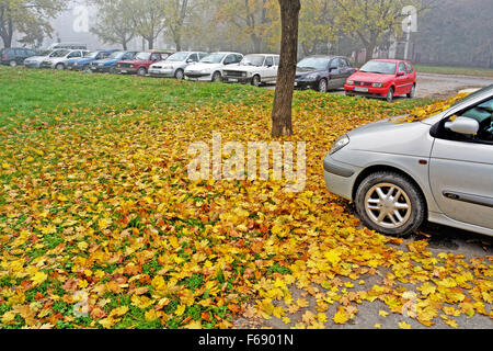 Parcheggio custodito per automobili e in autunno la nebbia e lascia il paese. Foto Stock