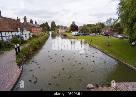 Anatre sul Kennet and Avon canal a Hungerford in Oxfordshire Foto Stock