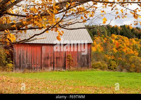 Il vecchio granaio rosso in una fattoria in autunno, Vermont VT, New England USA Foto Stock