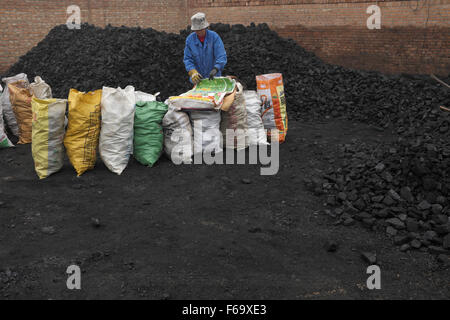 Una donna borse di blocchi di carbone a un negozio di carbone in un villaggio in GuAn, 50km a Pechino, nella provincia di Hebei (Cina). Foto Stock