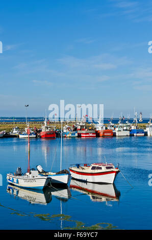 La flotta di pesca presso i loro ormeggi Loctudy Bretagna Francia Foto Stock