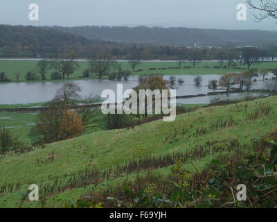 Preston, Lancashire, Regno Unito. Domenica 15 novembre 2015. Pioggia pesante in Lancashire provoca il fiume Ribble vicino a Preston a salire a livelli pericolosi allagamenti campi nelle vicinanze. Credit: Sue Burton/Alamy Live News Foto Stock