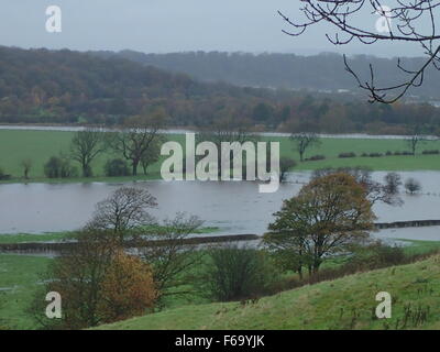 Preston, Lancashire, Regno Unito. Domenica 15 novembre 2015. Pioggia pesante in Lancashire provoca il fiume Ribble vicino a Preston a salire a livelli pericolosi allagamenti campi nelle vicinanze. Credit: Sue Burton/Alamy Live News Foto Stock