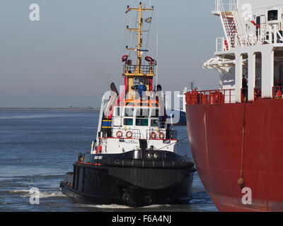 La Union Ruby, un rimorchiatore del 2005, opera nel porto di Anversa, supportando l'attracco e lo sgancio di navi più grandi. Il rimorchiatore aiuta a manovrare navi portacontainer, petroliere e altre navi da carico attraverso le chiuse del porto e le aree di attracco. Le infrastrutture portuali di Anversa, tra cui gru e impianti di stoccaggio, svolgono un ruolo fondamentale nell’efficiente trasporto di beni generici, petrolio, carbone, cereali e gas. Foto Stock