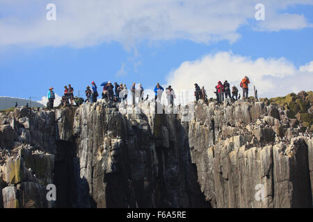 Gli amanti del birdwatching sul farne interna isola Northumberland REGNO UNITO Foto Stock