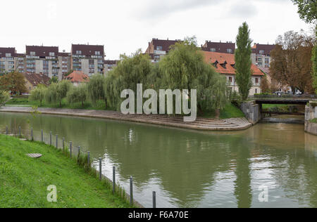 La confluenza di Ljubljanica e fiumi Gradascica a Ljubljana, Slovenia Foto Stock