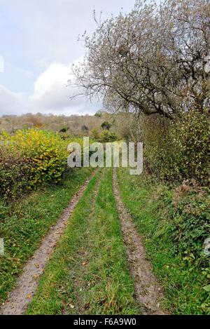 Paese sentiero nel Surrey sulle colline vicino a Abinger Hammer UK Foto Stock