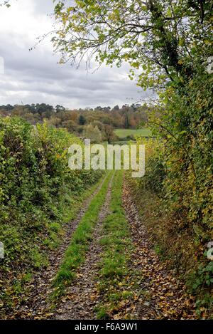 Paese sentiero nel Surrey sulle colline vicino a Abinger Hammer UK Foto Stock