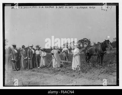 Onorevole TB Pozzi, Onorevole da Palmer & Mary G fieno Foto Stock