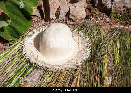 Cappello di Panama e le fibre usate per renderlo in Becal, Campeche, Messico. Foto Stock