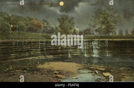 Questa fotografia notturna cattura Wade Park a Cleveland, Ohio, sotto la luce della luna. Con i tranquilli corpi d'acqua del parco e l'ambiente naturale circostante, questa immagine mette in risalto la bellezza degli spazi pubblici di Cleveland di notte. Foto Stock