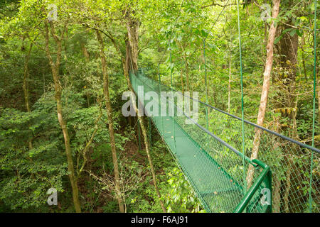 Ponte sospeso a foresta pluviale naturale parco, Costa Rica Foto Stock