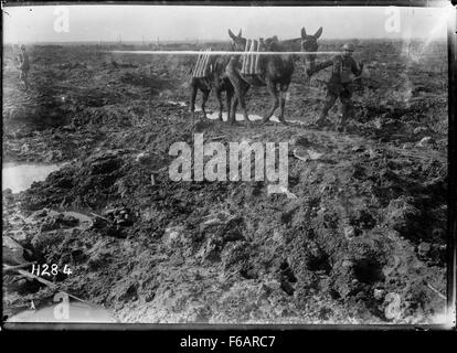 Leader del soldato muli carichi di munizioni attraverso il fango, Kansas Farm, Foto Stock