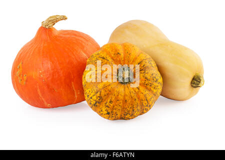 Zucche assortiti Foto Stock