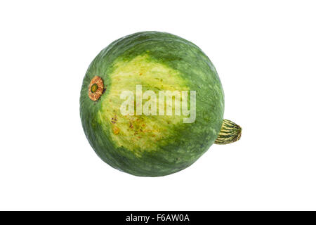 La zucca verde isolato Foto Stock