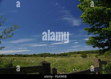 Insolite formazioni cloud, cielo blu e vedute dei campi Foto Stock