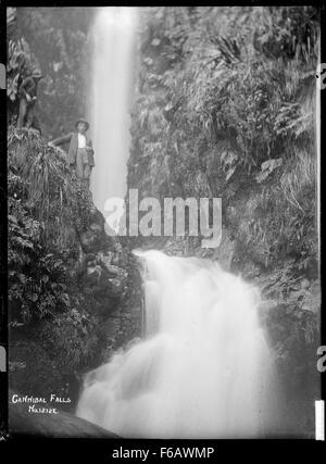 Cannibal Falls, situata vicino a Raglan, è una meraviglia naturale conosciuta per la sua pittoresca bellezza. La cascata è circondata da una vegetazione lussureggiante, rendendola una posizione popolare per gli amanti della natura e per i fotografi. Il suo ambiente sereno è perfetto per coloro che cercano una fuga tranquilla. Foto Stock