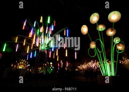 Durham, Co. Durham, Inghilterra - Novembre 15, 2015: le persone che si godono il giardino di luce, da inclinazione (Francia). Uno degli schermi di luce visibile durante il 2015 Durham Lumiere detenute da 12th-15th Novembre. Credito: AC Immagini/Alamy Live News Foto Stock