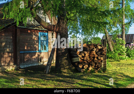 Legna da ardere in prossimità della parete di legno casa di villaggio. Foto Stock