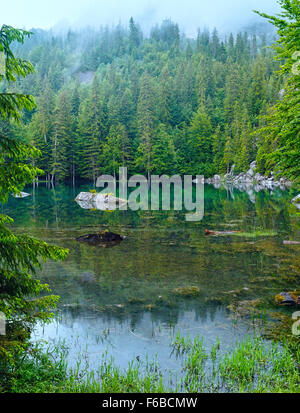 Piccole foreste di montagna lago in Franch Alpi (nebbiosa mattina d'estate). Foto Stock