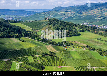 Wolfer Klosterberg abbazia rovine sopra il lupo, villaggio del vino visto dal Mont Royal sul fiume Mosella vicino a Traben-Trarbach, Renania-Palatinato, Germania Foto Stock