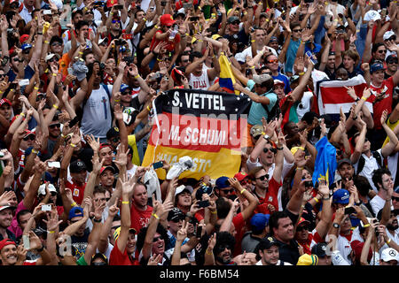 Il Brasile. 15 Novembre, 2015. Motorsports: FIA Formula One World Championship 2015, il Gran Premio del Brasile, ventole Credito: dpa picture alliance/Alamy Live News Foto Stock